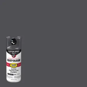 12 OZ CHAR Spray Paint