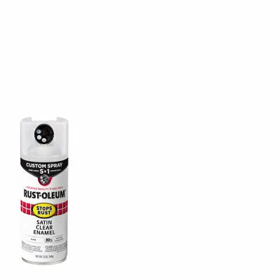 12 OZ CLR Spray Paint