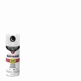12 OZ GLSCLR Spray Paint
