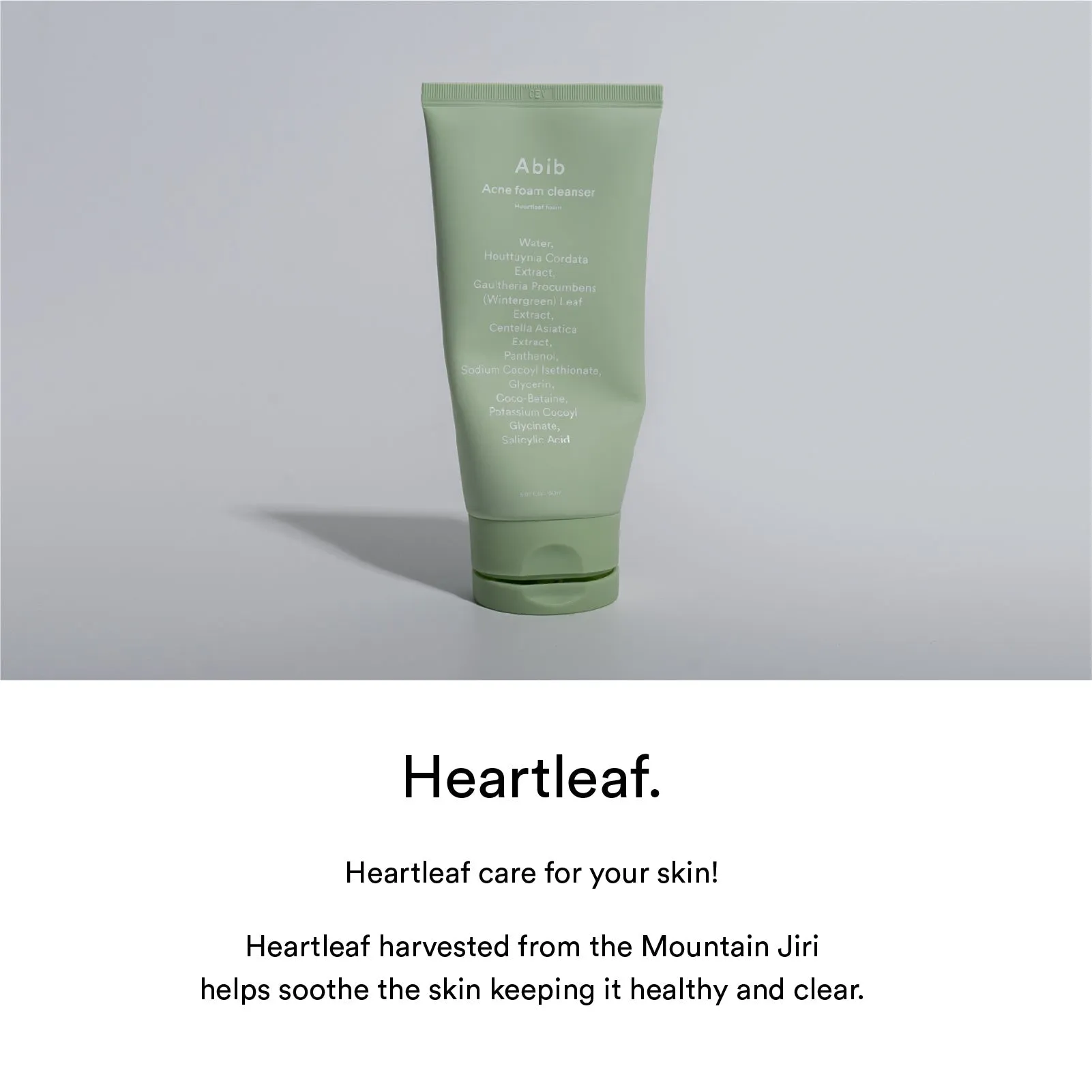 Abib Foam Cleanser Heartleaf Foam （2 Sizes)