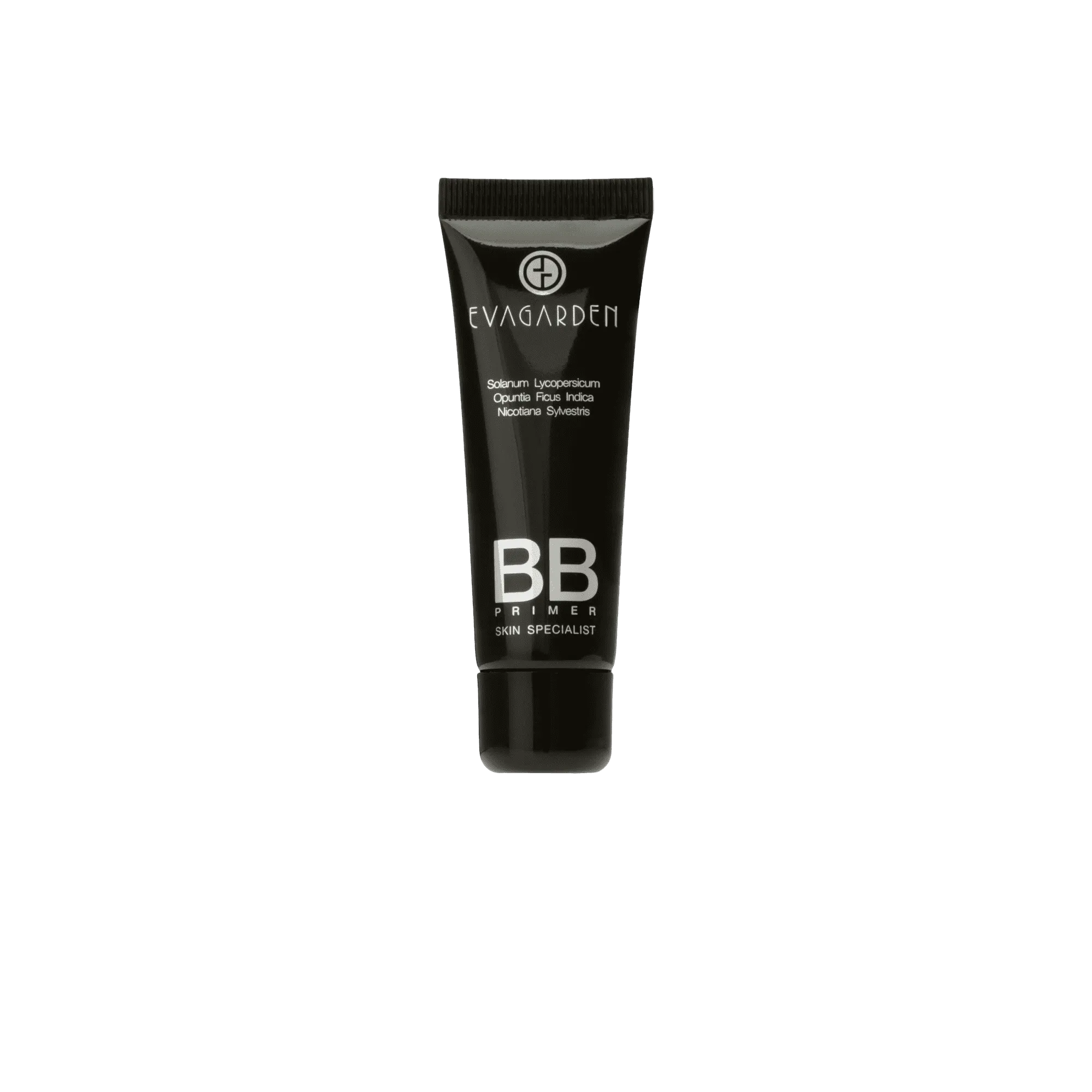 BB Primer