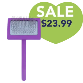 Medium Curved Purple Dematting Brush by PetStore.Direct